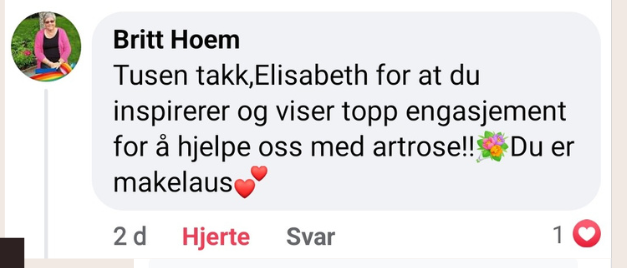 Tilbakemelding fra Britt Hoem